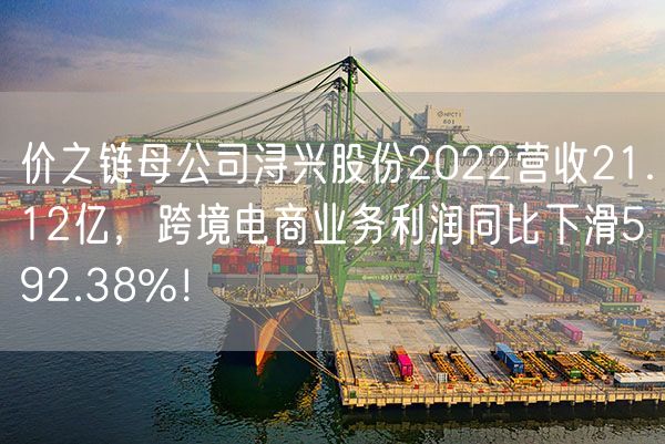 价之链母公司浔兴股份2022营收21.12亿，跨境电商业务利润同比下滑592.38%！