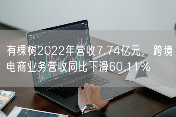 有棵树2022年营收7.74亿元，跨境电商业务营收同比下滑60.11%