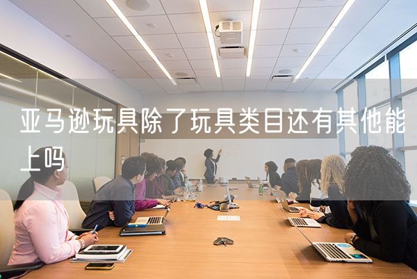 亚马逊玩具除了玩具类目还有其他能上吗