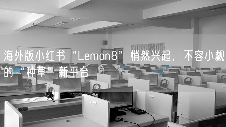 海外版小红书“Lemon8”悄然兴起，不容小觑的“种草”新平台