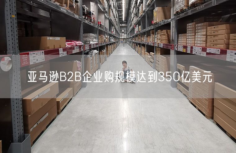 亚马逊B2B企业购规模达到350亿美元