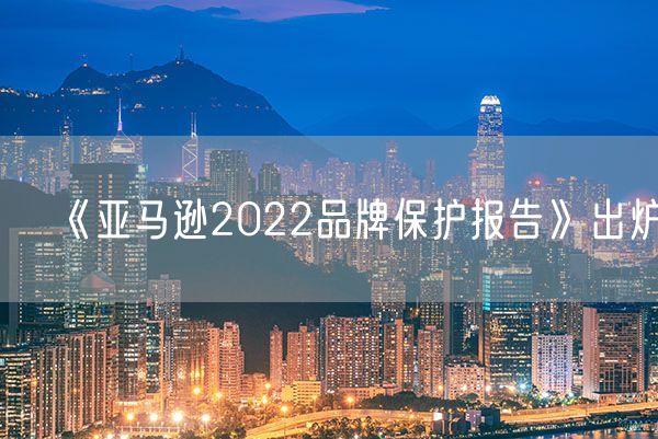 《亚马逊2022品牌保护报告》出炉