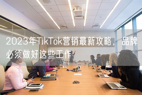 2023年TikTok营销最新攻略，品牌必须做好这些工作