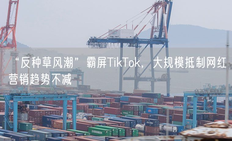 “反种草风潮”霸屏TikTok，大规模抵制网红营销趋势不减