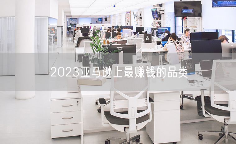 2023亚马逊上最赚钱的品类