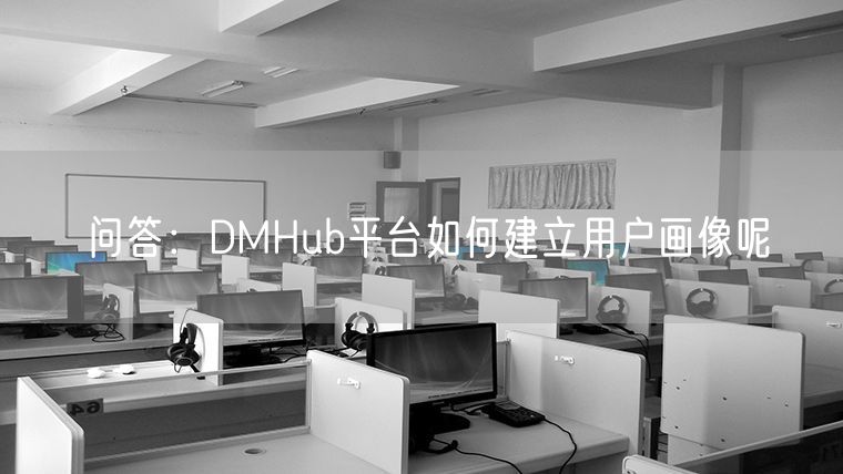 问答：DMHub平台如何建立用户画像呢