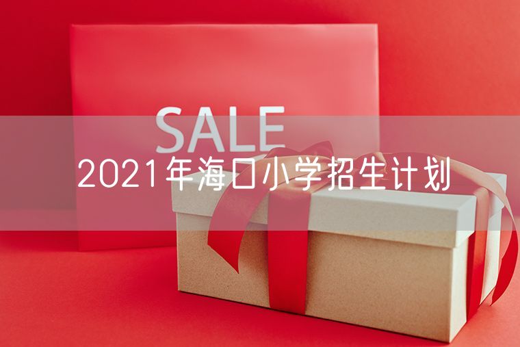 2021年海口小学招生计划