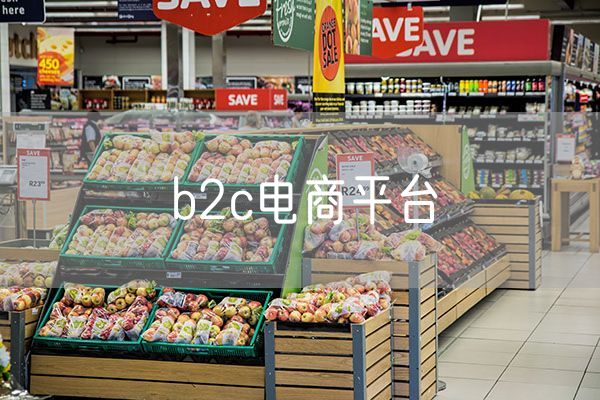 b2c电商平台 b2c跨境电商平台