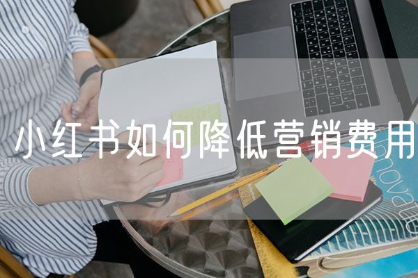 小红书如何降低营销费用 小红书营销攻略