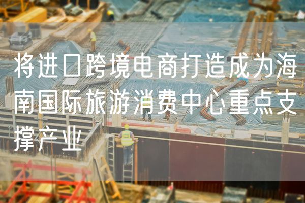 将进口跨境电商打造成为海南国际旅游消费中心重点支撑产业