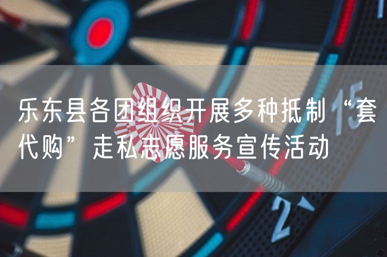 乐东县各团组织开展多种抵制“套代购”走私志愿服务宣传活动