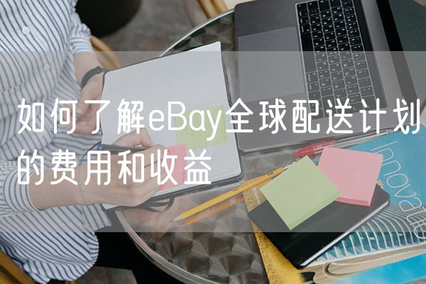 如何了解eBay全球配送计划的费用和收益