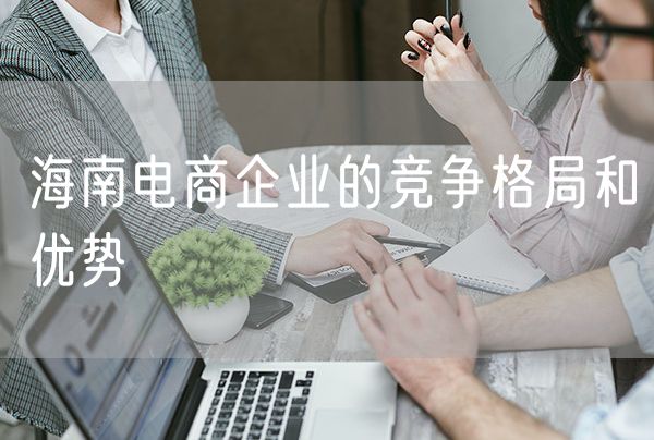 海南电商企业的竞争格局和优势