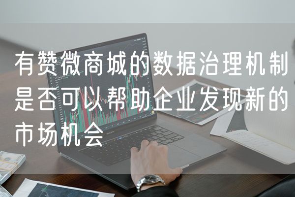 有赞微商城的数据治理机制是否可以帮助企业发现新的市场机会