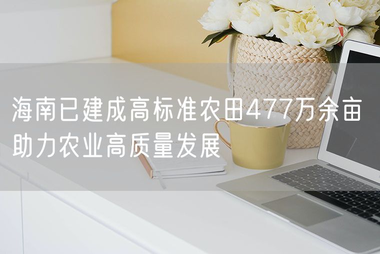  海南已建成高标准农田477万余亩 助力农业高质量发展