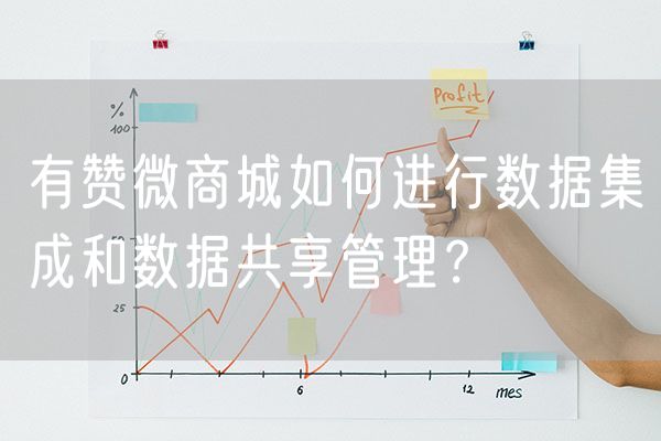 有赞微商城如何进行数据集成和数据共享管理