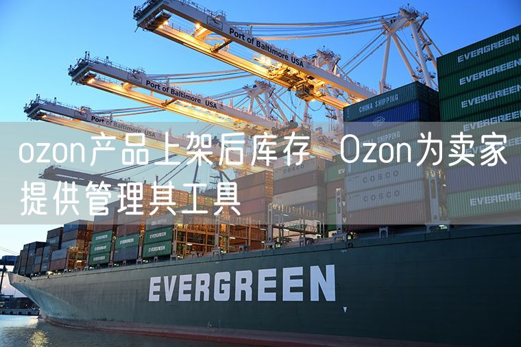 ozon产品上架后库存  Ozon为卖家提供管理其工具