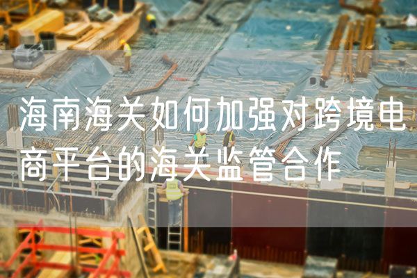 海南海关如何加强对跨境电商平台的海关监管合作