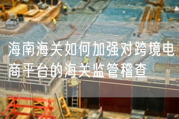 海南海关如何加强对跨境电商平台的海关监管稽查