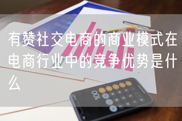 有赞社交电商的商业模式在电商行业中的竞争优势是什么