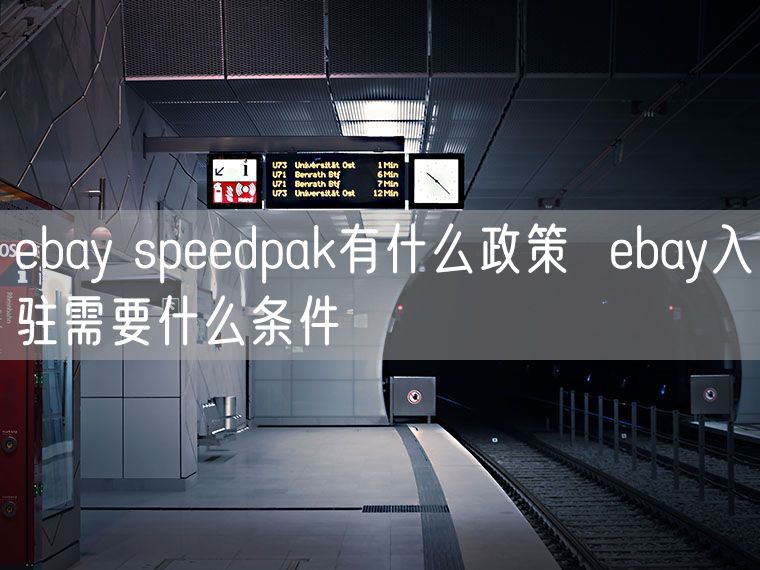 ebay speedpak有什么政策  ebay入驻需要什么条件