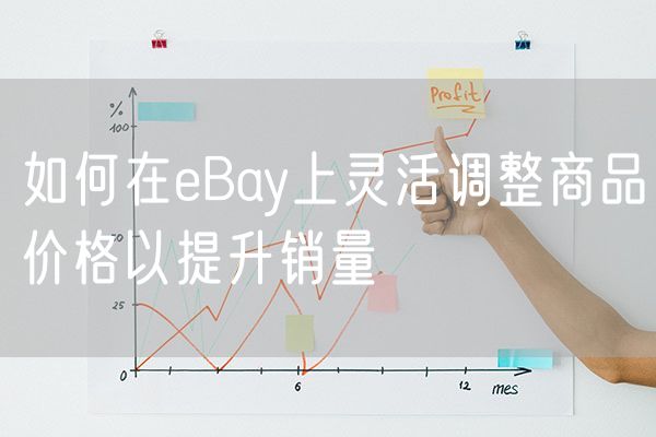 如何在eBay上灵活调整商品价格以提升销量