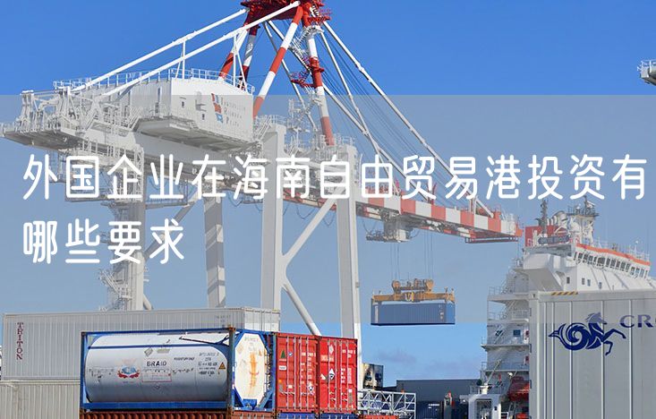 外国企业在海南自由贸易港投资有哪些要求