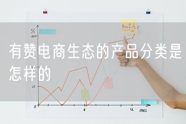 有赞电商生态的产品分类是怎样的