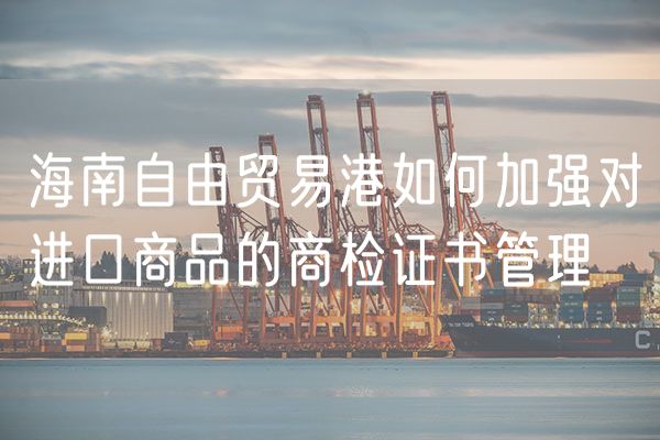 海南自由贸易港如何加强对进口商品的商检证书管理