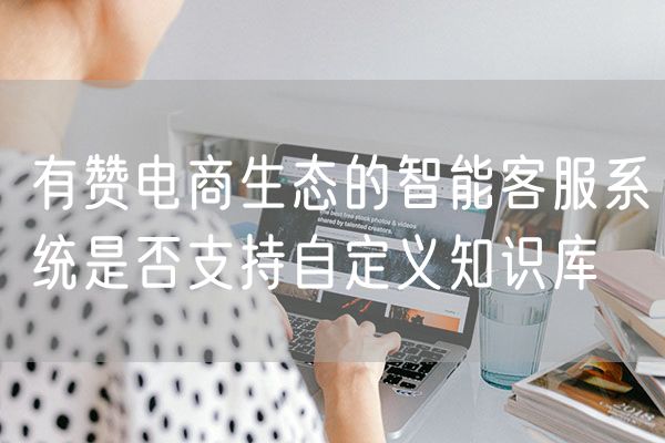 有赞电商生态的智能客服系统是否支持自定义知识库