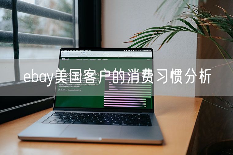 ebay美国客户的消费习惯分析