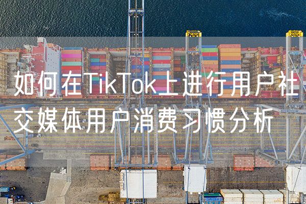 如何在TikTok上进行用户社交媒体用户消费习惯分析