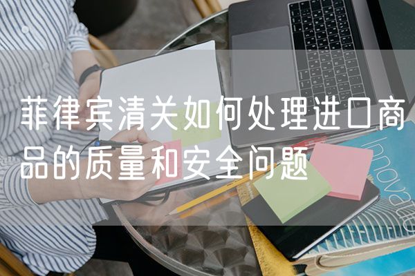 菲律宾清关如何处理进口商品的质量和安全问题