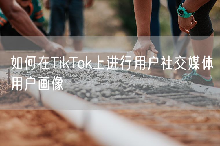 如何在TikTok上进行用户社交媒体用户画像