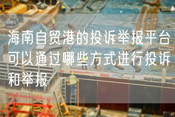 海南自贸港的投诉举报平台可以通过哪些方式进行投诉和举报