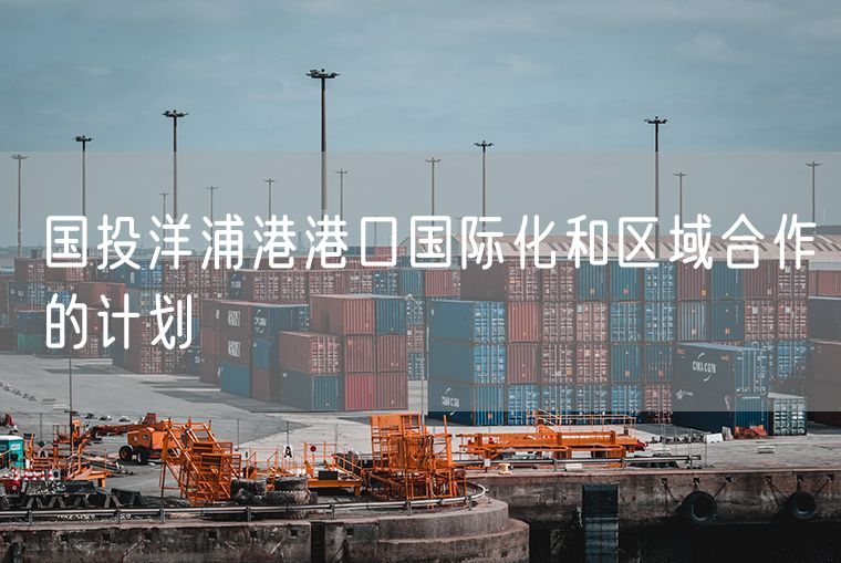 国投洋浦港港口国际化和区域合作的计划