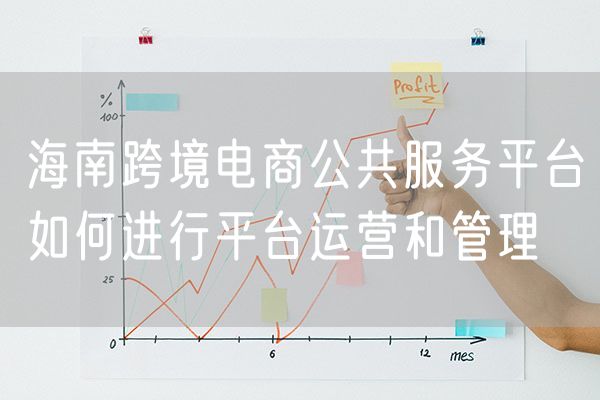 海南跨境电商公共服务平台如何进行平台运营和管理