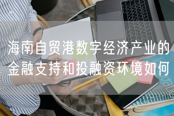 海南自贸港数字经济产业的金融支持和投融资环境如何