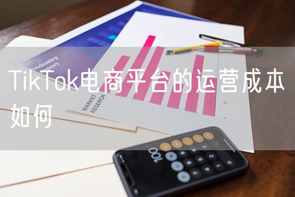 TikTok电商平台的运营成本如何