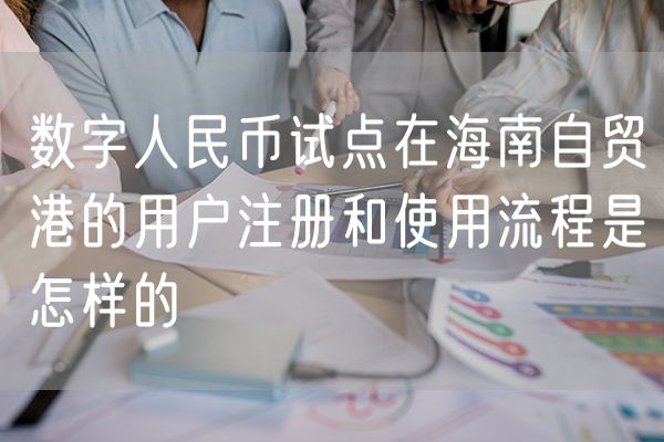 数字人民币试点在海南自贸港的用户注册和使用流程是怎样的