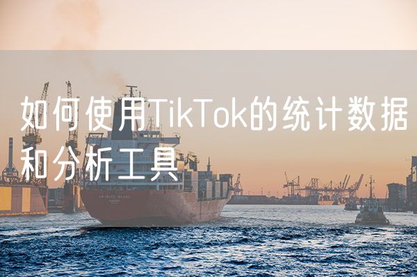 如何使用TikTok的统计数据和分析工具