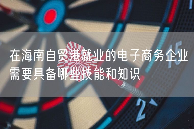 在海南自贸港就业的电子商务企业需要具备哪些技能和知识