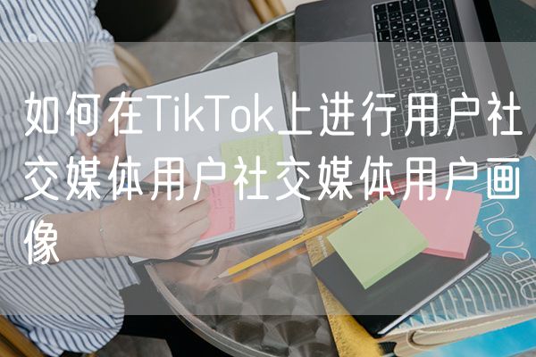 如何在TikTok上进行用户社交媒体用户社交媒体用户画像