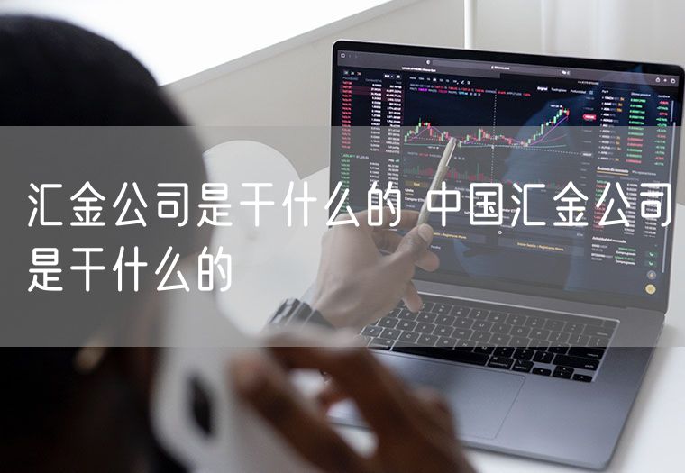 汇金公司是干什么的 中国汇金公司是干什么的