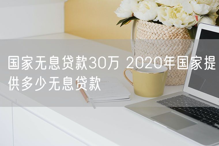 国家无息贷款30万 2020年国家提供多少无息贷款