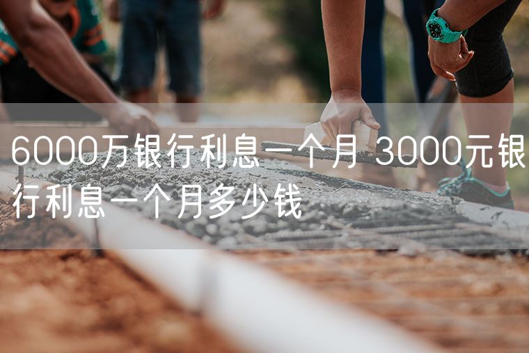 6000万银行利息一个月 3000元银行利息一个月多少钱