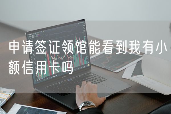 申请签证领馆能看到我有小额信用卡吗