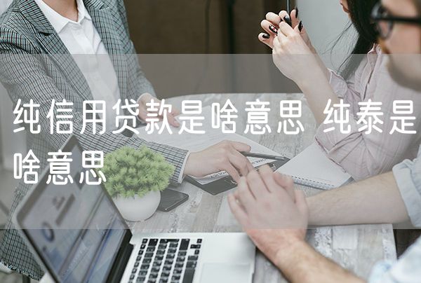 纯信用贷款是啥意思 纯泰是啥意思