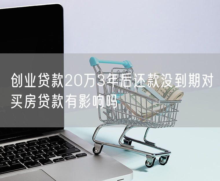 创业贷款20万3年后还款没到期对买房贷款有影响吗