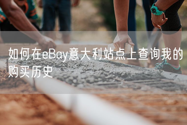 如何在eBay意大利站点上查询我的购买历史